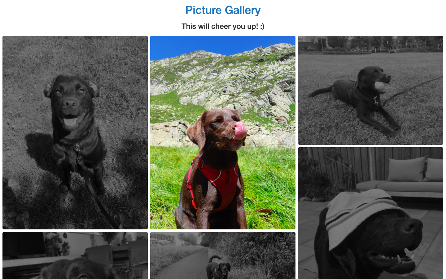 Responsive photo gallery